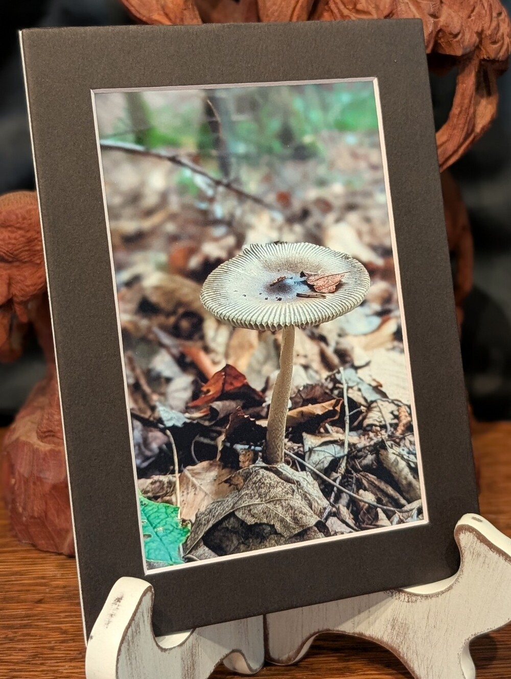 Original Mushroom Photography 5x7 Black Matted Print